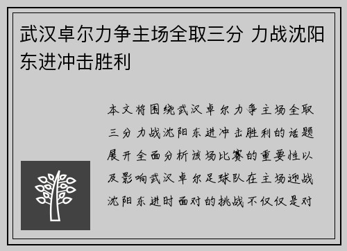 武汉卓尔力争主场全取三分 力战沈阳东进冲击胜利